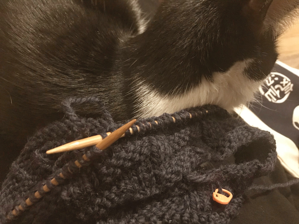 編みものと猫