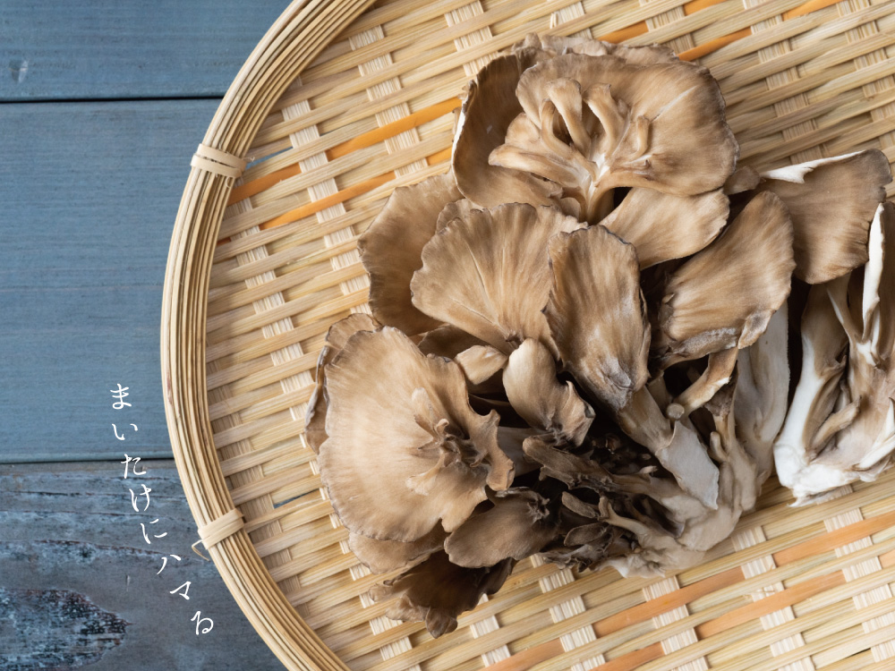 まいたけ料理に人生ではじめてはまる